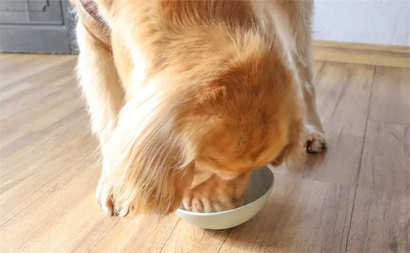 Pet supplies Stubborn slow food bowl licking pad silicone bowl with suction cups anti tipping and anti slip dog and cat bowl