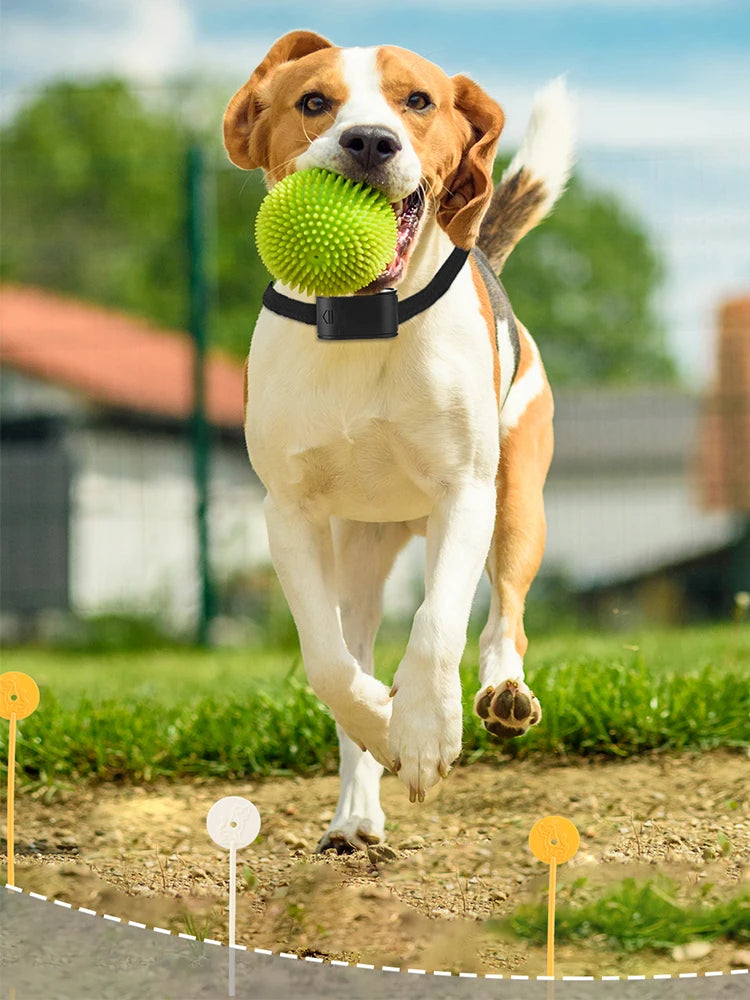 Electronic Pet Fence System Containment Dog Training Collar Pet Accessories Electric Dog Fence Sound Shocked Collar Waterproof