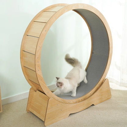 Large treadmill Durable Cat Wheel With With Carpeted Runway  Noiseless Roller Safety Lock Easy To Install Daily Exercise Wheel