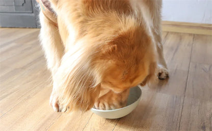 Pet supplies Stubborn slow food bowl licking pad silicone bowl with suction cups anti tipping and anti slip dog and cat bowl