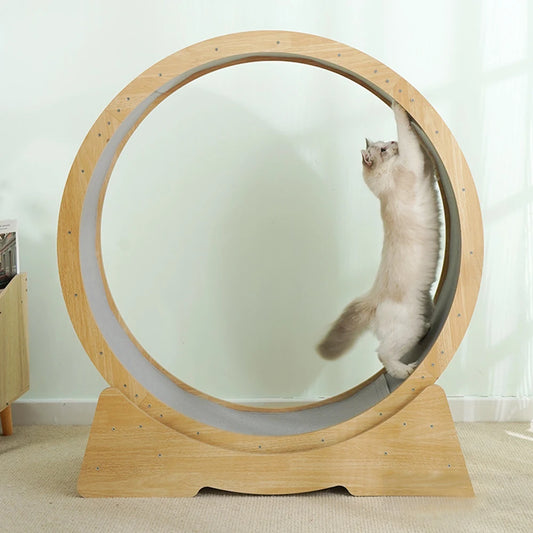 Large treadmill Durable Cat Wheel With With Carpeted Runway  Noiseless Roller Safety Lock Easy To Install Daily Exercise Wheel